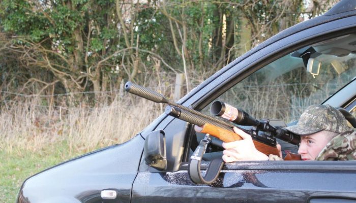 Airgun Hunter - Wood Pigeons - image {image:count}
