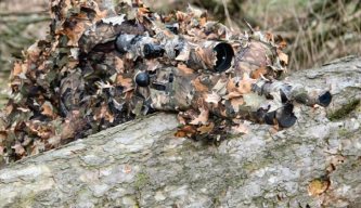 Airgun Hunter: Autumn Fair