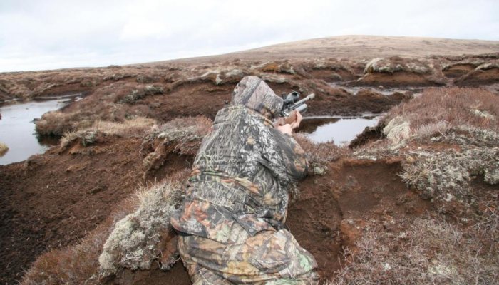 Airgun Hunter: Power Specific - image {image:count}