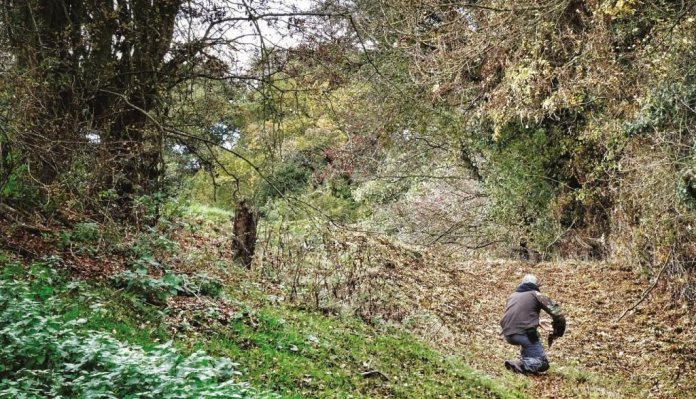 Airgun Hunter: Precision Stalker