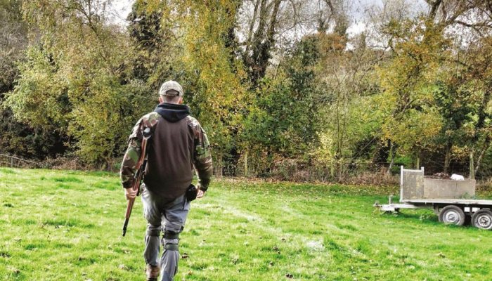 Airgun Hunter: Precision Stalker - image {image:count}