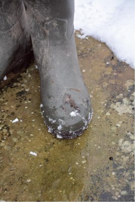 Arxus Primo Boot - image {image:count}