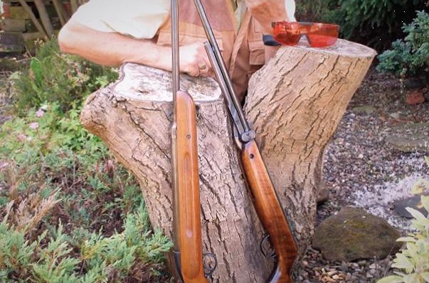 BSA Airsporter Mk2 v Webley Mk3