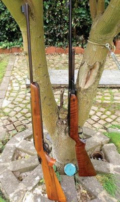 BSA Airsporter Mk2 v Webley Mk3 - image {image:count}