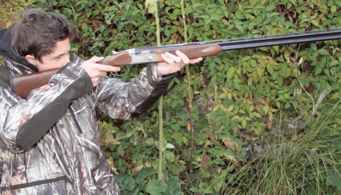 Beretta Silver Pigeon