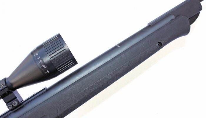 Blaser AR8 Professional Success - image {image:count}