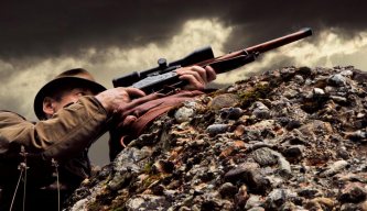 Blaser K95 Baronnesse Stuzen