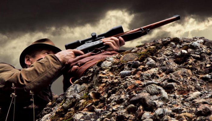 Blaser K95 Baronnesse Stuzen - image {image:count}