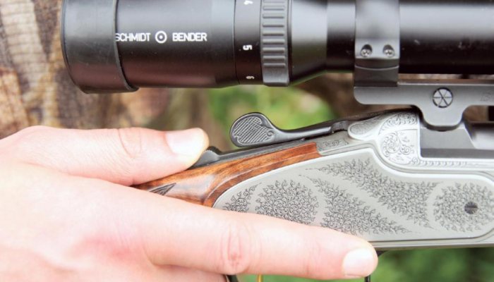 Blaser K95 Baronnesse Stuzen - image {image:count}