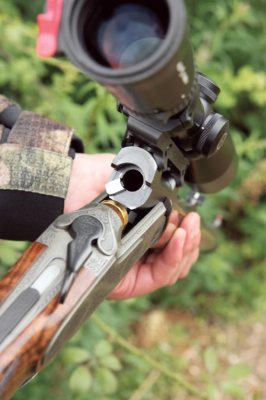 Blaser K95 Baronnesse Stuzen - image {image:count}