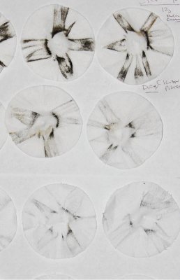 Boretech Shotgun Cleaning Blend - image {image:count}