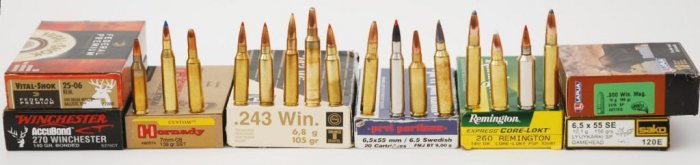 Bullet Choice for Deer Stalking - image {image:count}