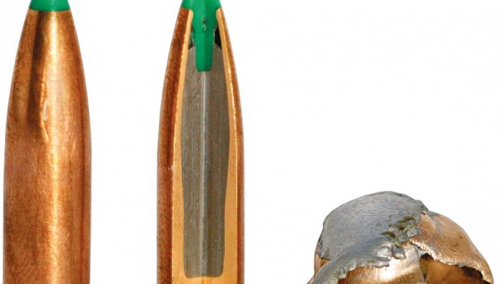 Bullet Choice for Deer Stalking - image {image:count}