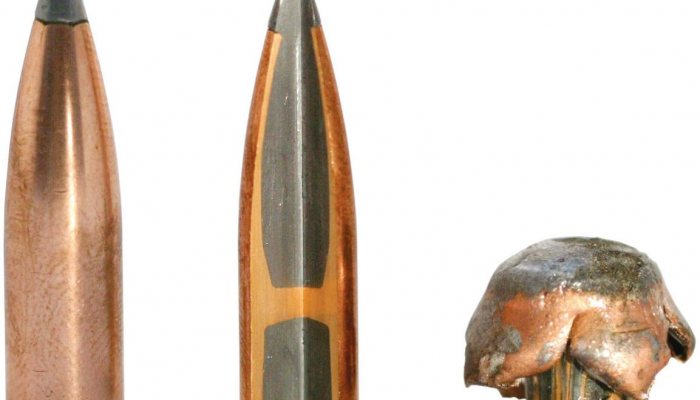 Bullet Choice for Deer Stalking - image {image:count}