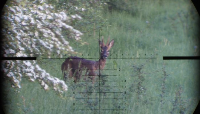 Bushnell Match Pro ED 5-30x56 - image {image:count}