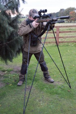 Bush Light Stable Sticks - image {image:count}