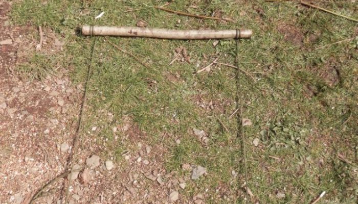 Bushcraft: Caught in a trap - image {image:count}