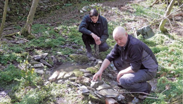 Bushcraft: Choosing a Location - image {image:count}