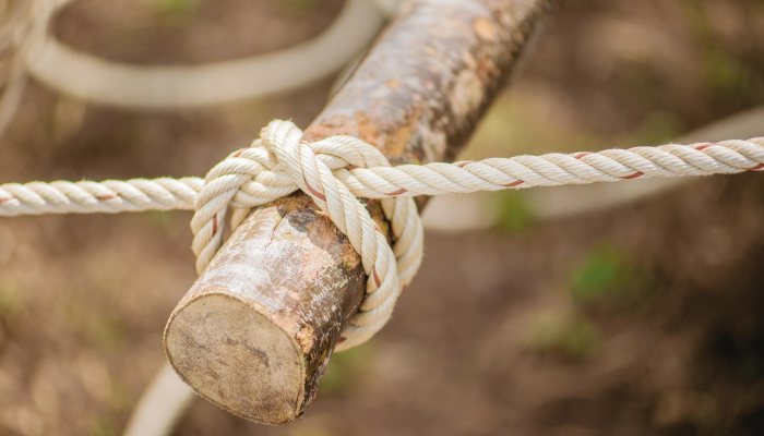 Bushcraft: Get Knotted - image {image:count}