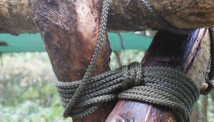 Bushcraft: Get Knotted - image {image:count}