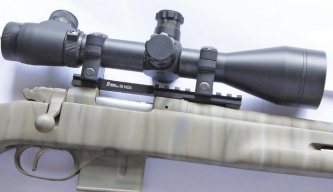 CZ527 10MOA Picatinny Rail