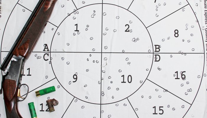 Using Lead-Free Cartridges for Clays - image {image:count}