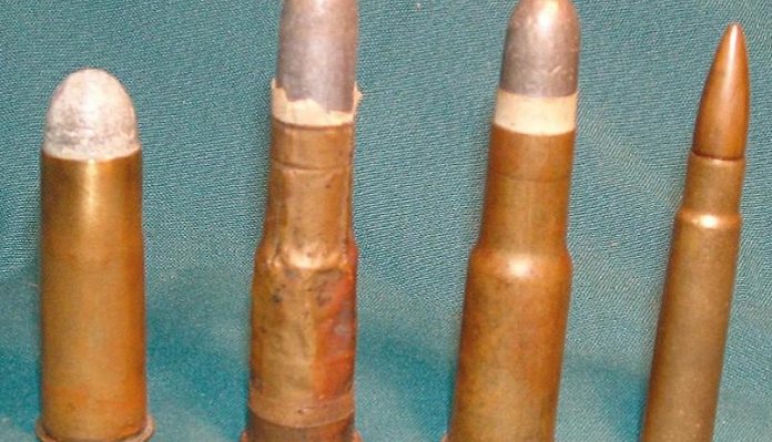 Case Histories: .577/450 Martini-Henry