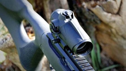Custom Ruger 10/22 - image {image:count}
