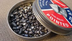 Crosman Pointed Pellets Review: A Robust Hunting Choice