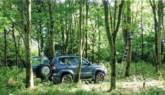 DeerHunter - Ups and downs of Stalking