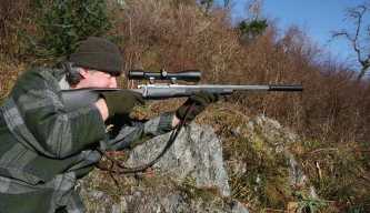 Deer bullets terminal ballistics