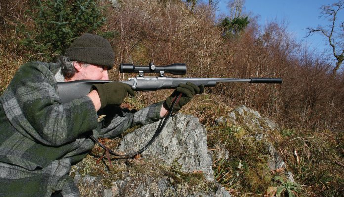 Deer bullets terminal ballistics
