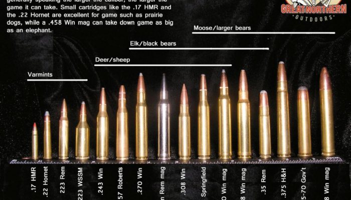 Expanding Ammunition - image {image:count}
