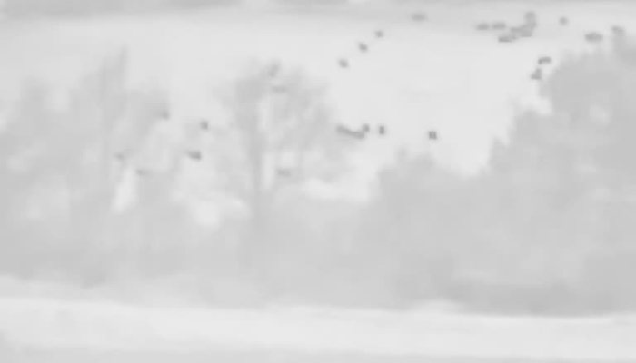Guide IR TD210 Thermal Monocular - image {image:count}