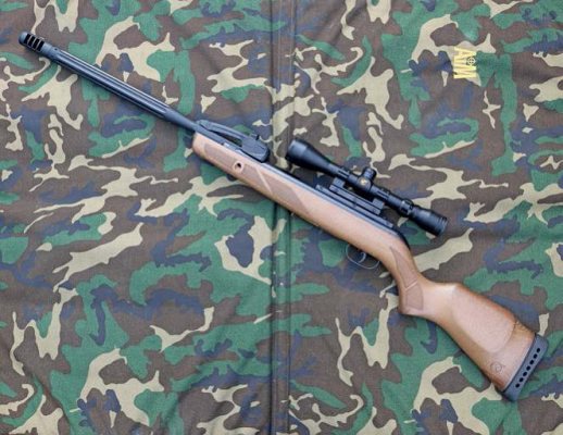Top Ten Airguns for Plinking & Hunting - image {image:count}