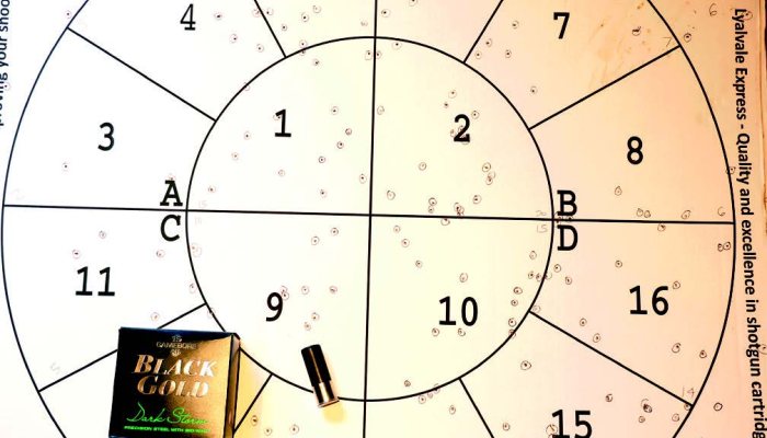 Gamebore Black and Gold Dark Storm - image {image:count}