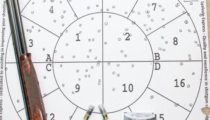 Gamebore Pigeon Extreme - image {image:count}