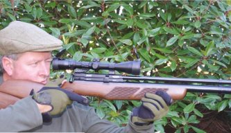 Gamo Coyote