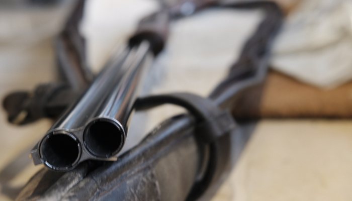 NI Firearms Fee Consultation Withdrawn Following BASC Legal Action - image {image:count}