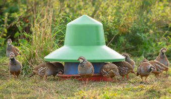 Natural England extends game shooting ban across more SPAs