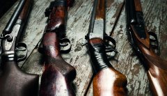 Northamptonshire Police Announce County-Wide Firearms Amnesty