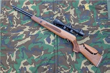 Top Ten Airguns for Plinking & Hunting - image {image:count}