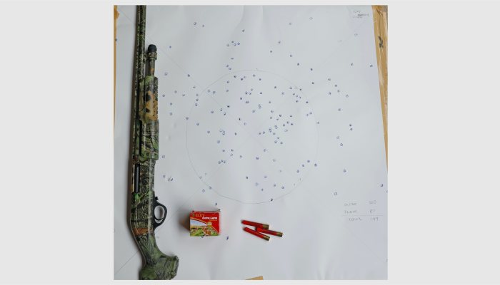 Hatsan Escort Fieldhunter - image {image:count}