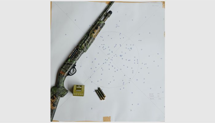 Hatsan Escort Fieldhunter - image {image:count}