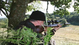 Highland Deer Stalking