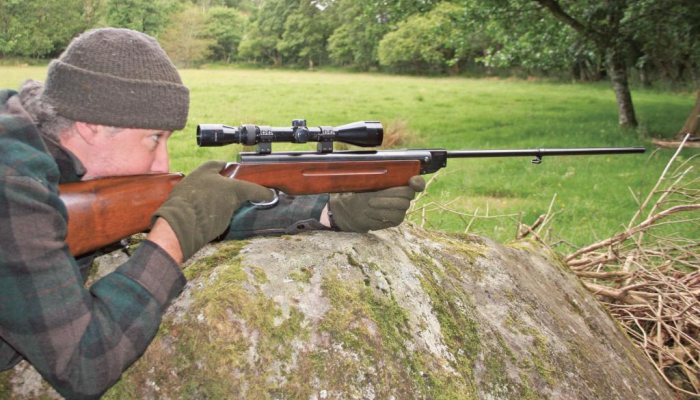 History of the HW35 - image {image:count}