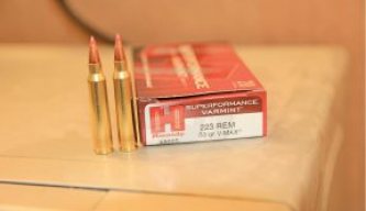 Hornady 53-grain V-MAX (223 Remington) Superformance