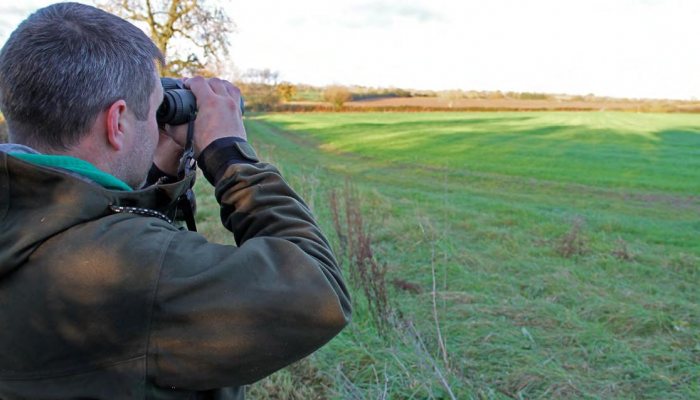 Hunting - Deer Hunting - image {image:count}
