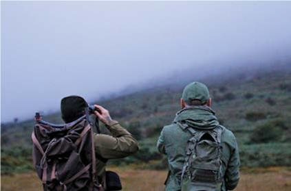 Hunting Story - Silkas on the Green Isle - image {image:count}