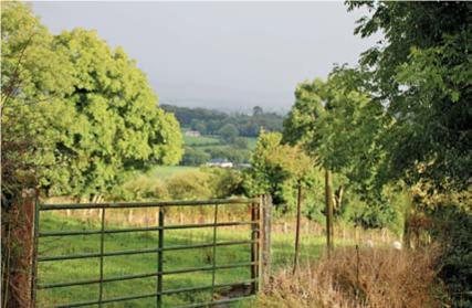 Hunting Story - Silkas on the Green Isle - image {image:count}